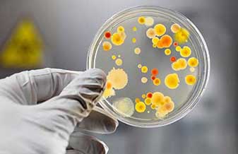 Consultório Doutor Breno César Diniz Pontes - Foto 1