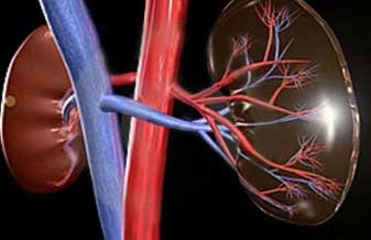 Consultório Doutora Yara Grácia Lorena - Foto 1