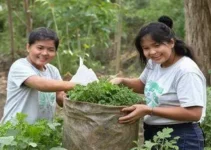 Programa de Incentivo à Compostagem