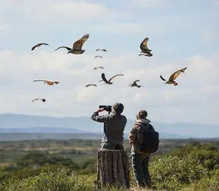 melhor temporada de caboclinhos