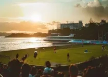 Palpites Cruzeiro Pouso Alegre