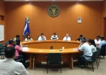 8ª sessão ordinária da Câmara de Pouso Alegre