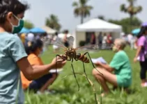 mobilização Minas Unida Contra o Aedes