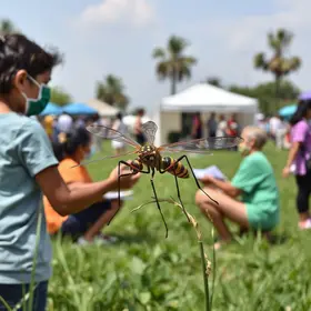 mobilização Minas Unida Contra o Aedes