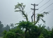 chuva forte em Pouso Alegre