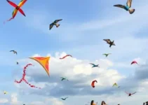 Festival de Pipas em Pouso Alegre