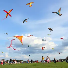 Festival de Pipas em Pouso Alegre