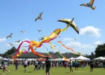 festival de pipas