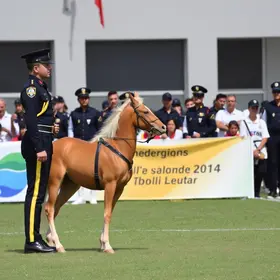 concurso Guarda Civil Pouso Alegre