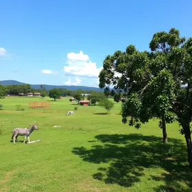 Ações da Semana do Campo Limpo em Pouso Alegre