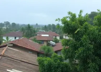 Últimas noticias de Pouso Alegre