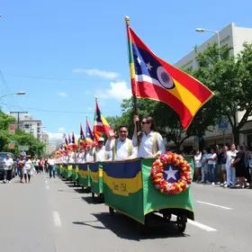 Vereadores de Pouso Alegre